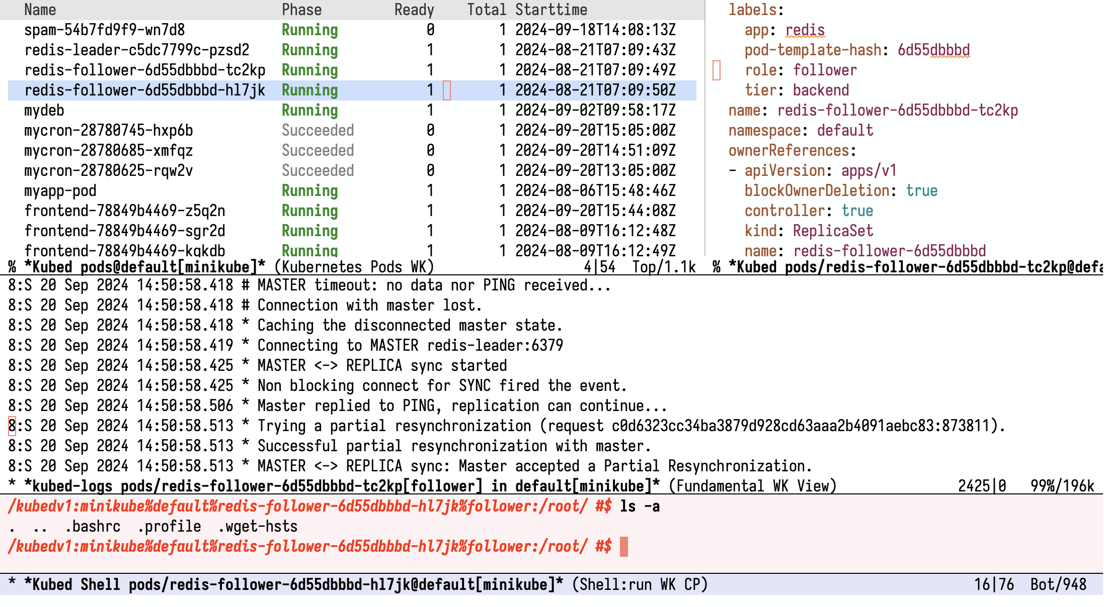 Image: Four different kinds of Kubed buffers in Emacs